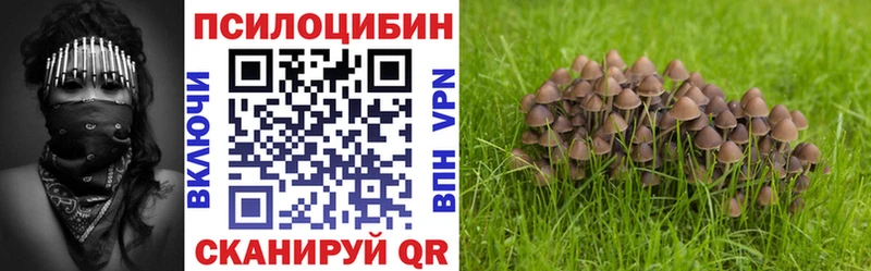 Псилоцибиновые грибы мухоморы хочу Бор